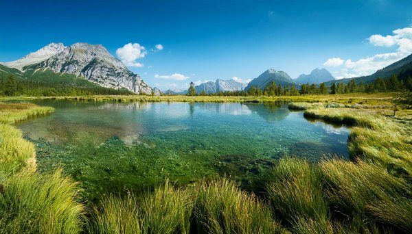 Voyager en Autocar : L'Option Verte et Économique pour vos Aventures !