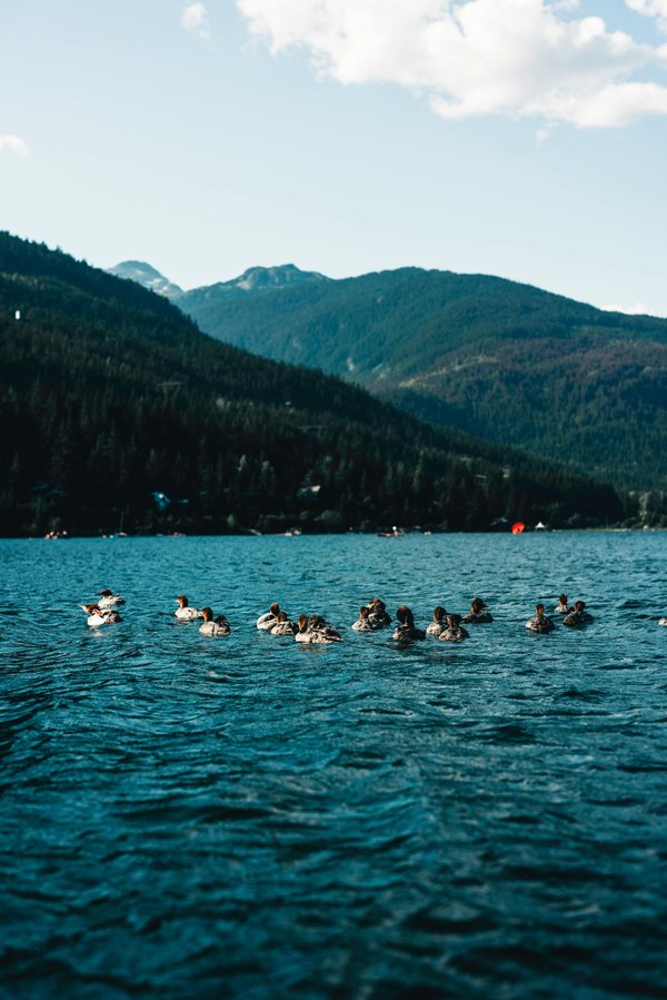 Découvrez les campings avec parc aquatique pour toute la famille